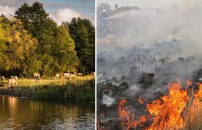 Płonie największy park narodowy w Polsce. Sytuacja jest tragiczna, strażnicy proszą o wsparcie