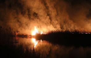 Minister Środowiska: straty przyrodnicze spowodowane pożarem Biebrzańskiego PN są nie do odrobienia