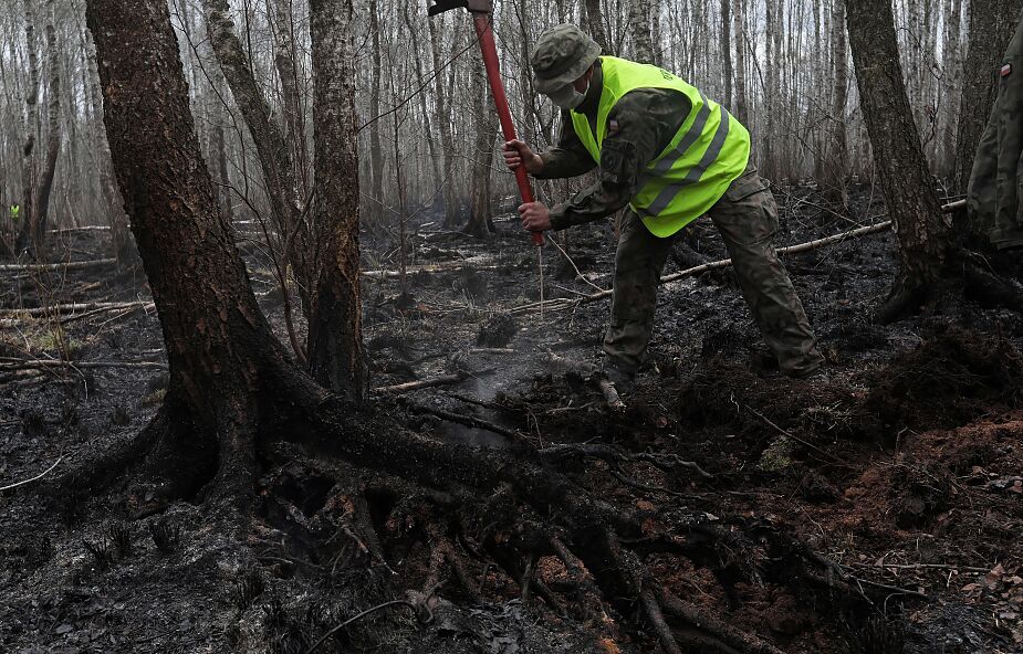Instytut Badawczy Leśnictwa: w większości kraju najwyższe zagrożenie pożarowe
