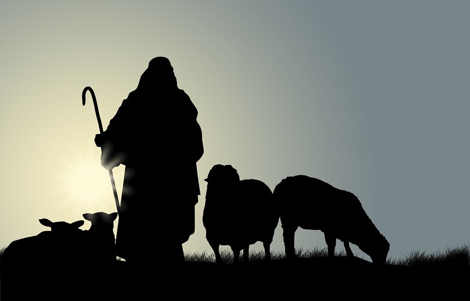 Dobry Pasterz prowadzi też "inne owce"