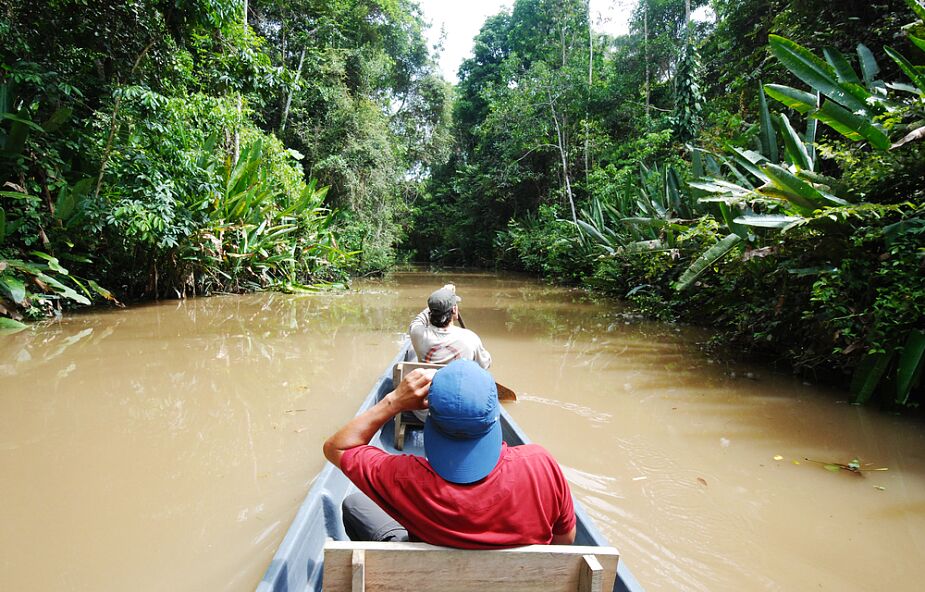 Biskupi organizują kampanię „Amazonia cię potrzebuje!”