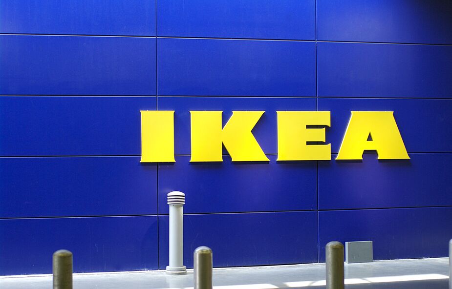 NGO: część drewna w produktach IKEA z nielegalnych wycinek na Ukrainie
