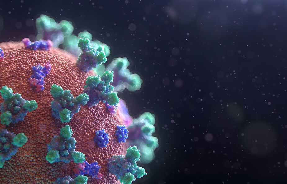 Naukowcy odkryli nowy szczep wirusa, który może spowodować kolejną pandemię 