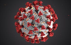 Szef WHO: każdy kraj musi mieć globalne podejście do walki z koronawirusem