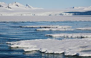 Naukowiec: Zniknięcie lodów Arktyki spowoduje częstsze zjawiska ekstremalne na całym świecie