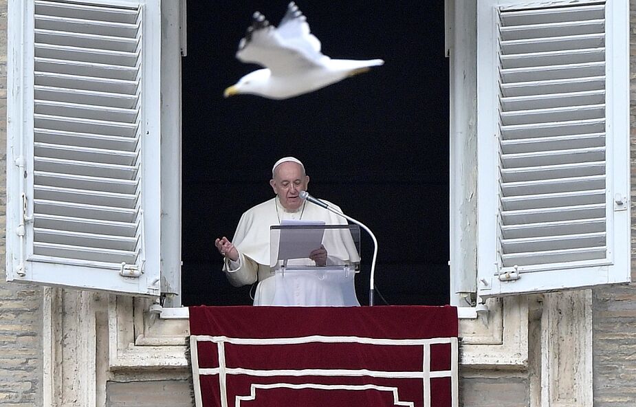 Papież: znaki Bożej harmonii obecne są w świecie przyrody