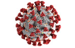 WHO: wirus SARS CoV-2 nie zniknie, ale mądra polityka może nam ułatwić życie