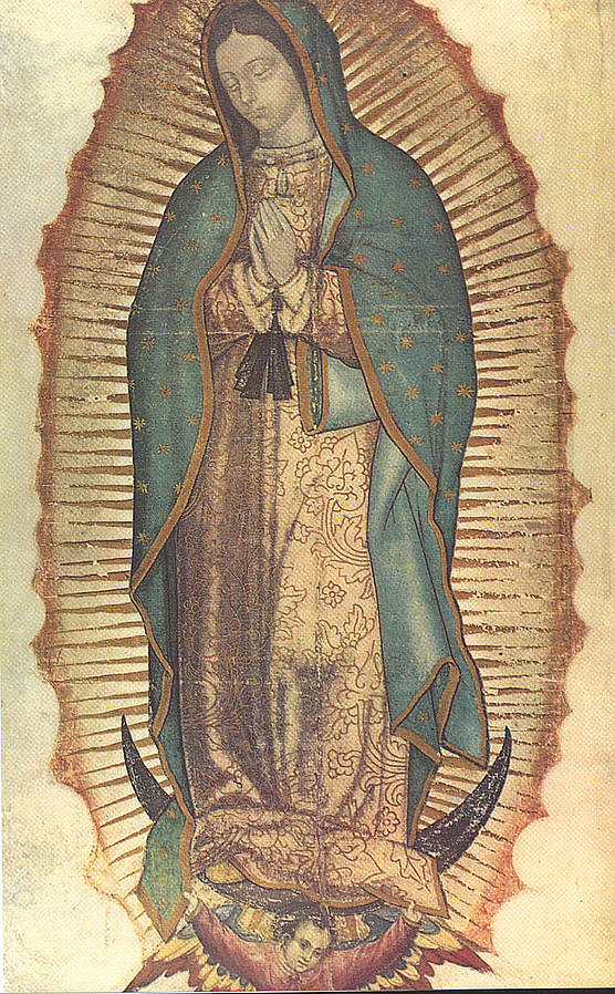 Matka Boża z Guadalupe - www.wikipedia.org