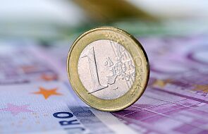 Niemal 40 proc. dużych i średnich firm chciałoby przyjęcia w Polsce euro