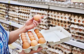 Tych jajek lepiej nie jedz. GIS ostrzega przed salmonellą