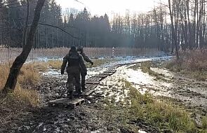 Nielegalne przekraczanie granicy; migranci dostają od służb białoruskich konkretne wskazówki