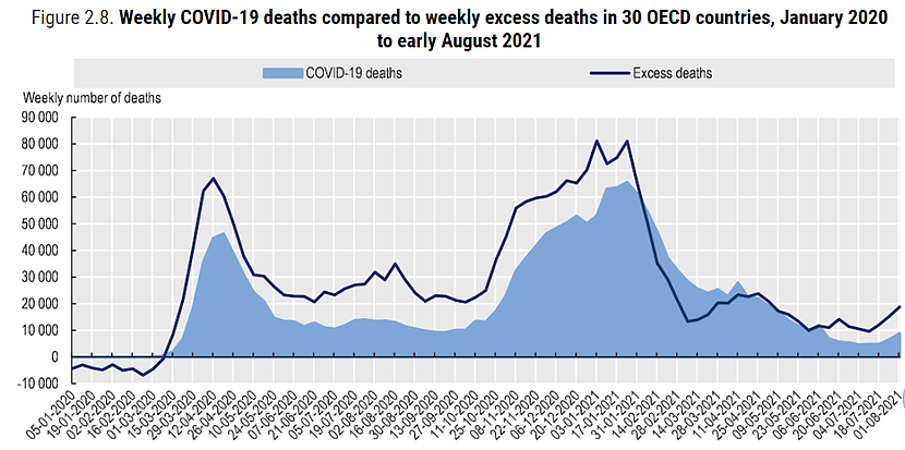 Tygodniowe liczba zgonów związanych z COVID-19 w porównaniu z tygodniową liczbą nadmiarowych zgonów w 30 krajach OECD, od stycznia 2020 r. do początku sierpnia 2021 r. Wykres nie uwzględnia danych z Australii, Kanady, Kolumbii, Kostaryki, Irlandii, Japonii, Korei i Turcji.