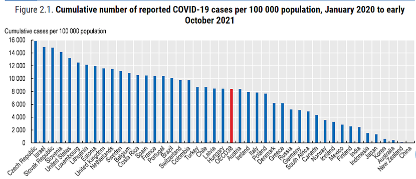 Liczba potwierdzonych przypadków COVID-19 w przeliczeniu na 100 tys. mieszkańców, od stycznia do 2020 do października 2021 r.