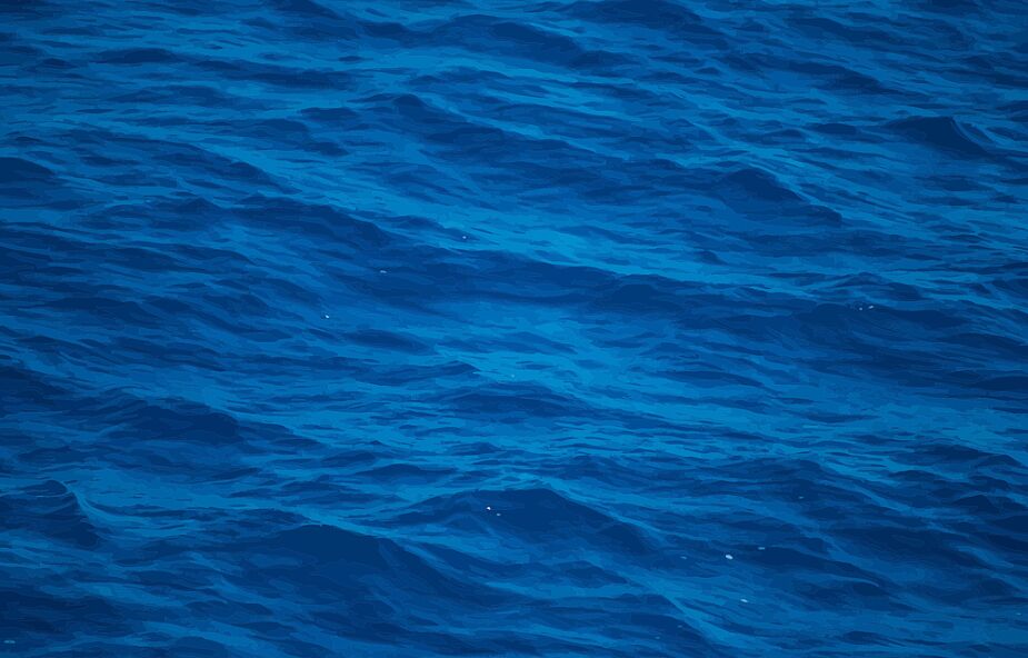 Mężczyzna wpadł do Pacyfiku; przeżył, bo trzymał się "oceanicznego śmiecia"