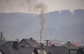 W Polsce dziesiątki tysięcy ludzi rocznie umiera z powodu smogu. To poważny moralny problem [WYWIAD]