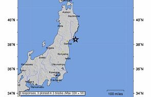 Silne trzęsienie ziemi w Japonii. Ostrzeżenia przed tsunami