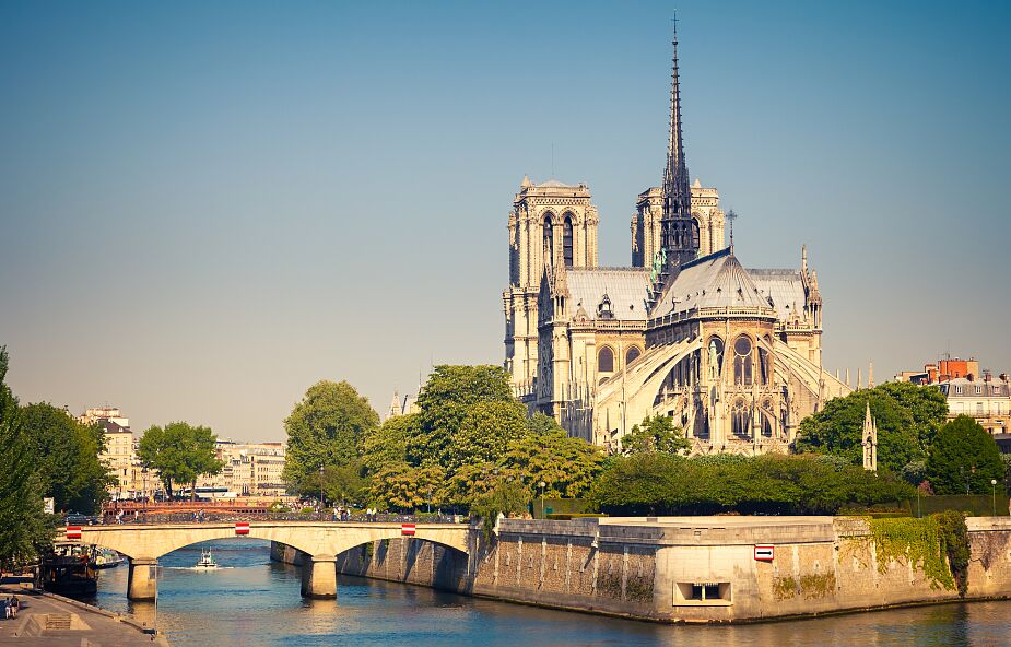 Prawie dwa tysiące dębów idzie pod topór by odbudować Notre Dame. Ekolodzy protestują