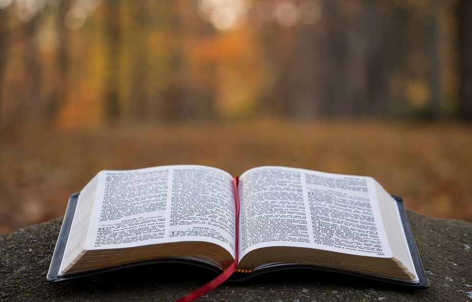 W niedzielę narodowe Czytanie Pisma Świętego i początek Tygodnia Biblijnego