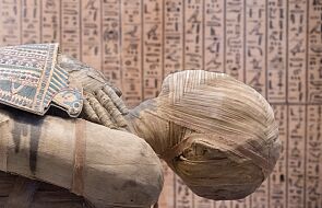 Wyjątkowa egipska mumia została odkryta przez polskich naukowców