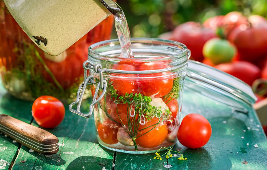 Jak przygotować pyszne kiszone pomidory [PRZEPIS]
