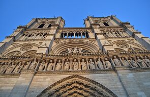 Zaczęła się wycinka dębów na odbudowę katedry Notre Dame
