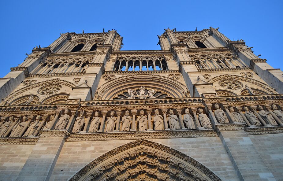 Zaczęła się wycinka dębów na odbudowę katedry Notre Dame