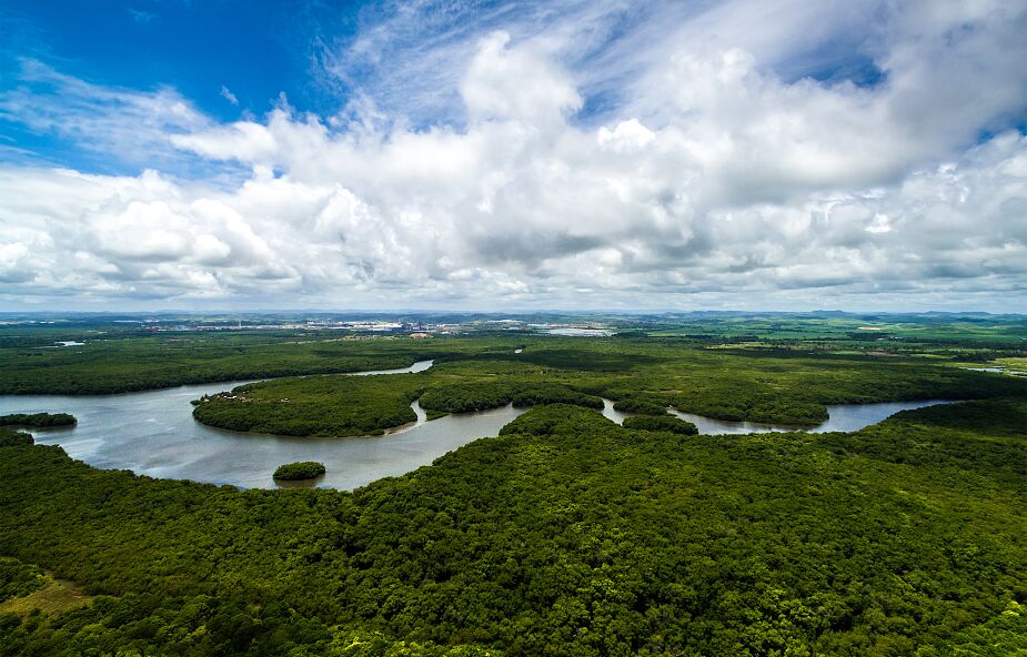 Brazylijscy biskupi apelują o ratowanie lasów Amazonii
