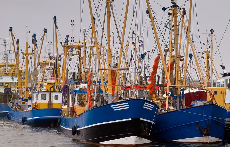 Holandia. Używali prądu do połowu ryb. Wprowadzili w błąd Komisję Europejską