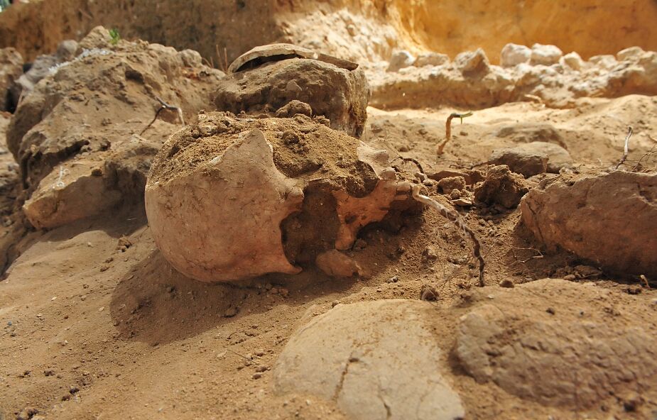 Najstarsze ludzkie szczątki w Afryce mają nawet 230 tys. lat