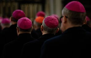 Biskupi Niderlandów z powodu koronawirusa nie złożą wizyty ad-limina w Watykanie
