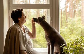 Psy po zapachu wyczuwają stres u ludzi. Ta wiedza może być przydatna w terapii