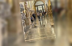 Chuligański wybryk w Muzeach Watykańskich. Turysta zniszczył starożytne rzeźby