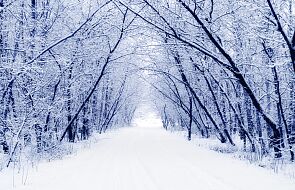Spacery w śnieżnym krajobrazie ograniczają negatywne myśli związane z wyglądem