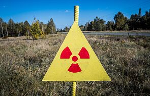 Parlament Ukrainy: Poziomy kontrolne mocy promieniowania gamma w Czarnobylu zostały przekroczone