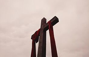Drzewo Krzyża Świętego. Tajemnicze zniknięcie lubelskich relikwii