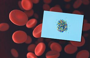 Po raz pierwszy naukowcy wykryli mikroplastik w ludzkiej krwi