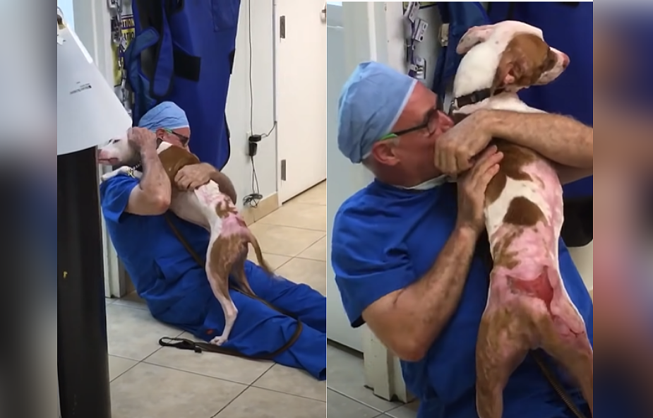 Pies pamiętał człowieka, który uratował mu życie. Wzruszające nagranie podbija internet