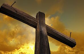 Co wiadomo o drzewie Krzyża, na którym umarł Jezus?