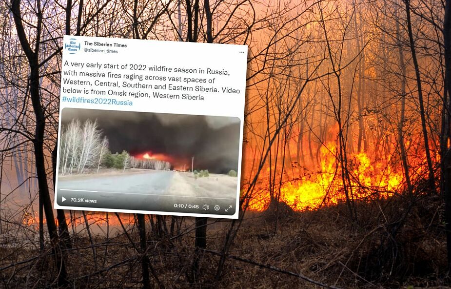 Ogromne pożary lasów w Rosji. Najgorsza sytuacja na Syberii