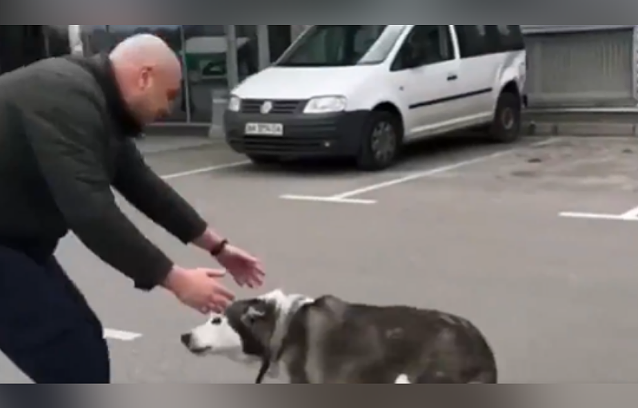 Wzruszające nagranie z Buczy. Pies odnalazł swojego pana po tygodniach rosyjskiej okupacji