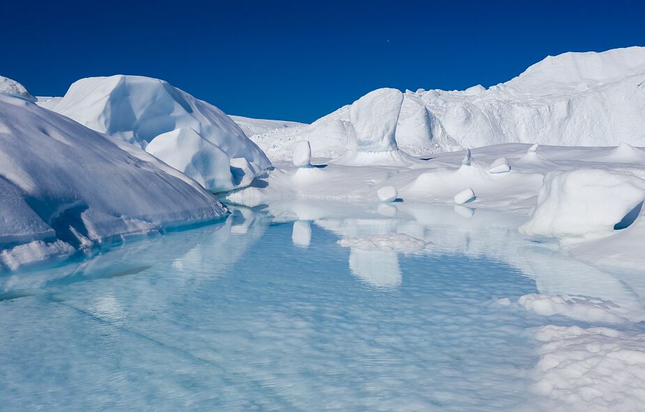 Zaginiony świat pół kilometra pod antarktycznym lodem. Naukowcy są zdumieni