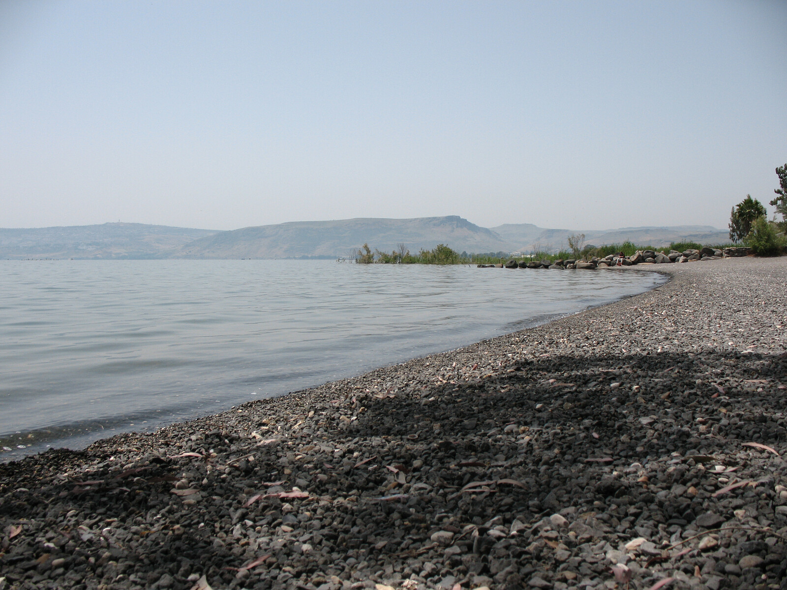 Brzeg jeziora, gdzie Jezus pytał Piotra: Czy miłujesz Mnie...? - https://www.flickr.com/photos/emeryjl/, CC BY 2.0 www.creativecommons.org, via Wikimedia Commons