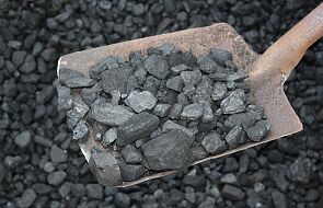 Maksymalna cena za tonę węgla wyniesie 996,60 zł. Prezydent podpisał ustawę
