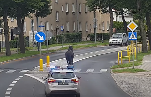 Nietypowy pościg polskiej policji. Koń biegał po ulicach Szczecinka [NAGRANIE]