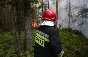 IMGW: w lasach na zachodzie bardzo wysokie zagrożenie pożarowe