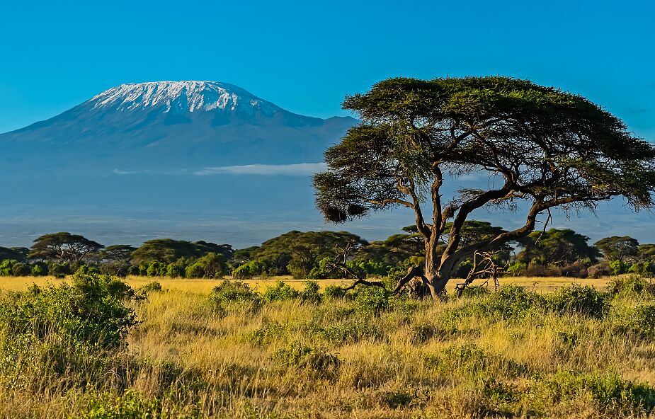 Szybki internet na Kilimandżaro. Dofinansowały go Chiny