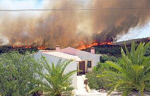 Portugalia: parafie włączają się w akcję przeciwdziałania pożarom