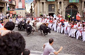 Hiszpania: 30-letni mężczyzna zabity przez byka podczas festynu