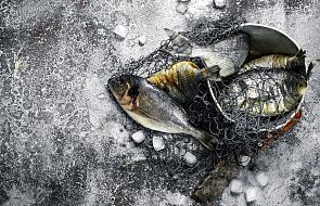 Matka Boża i jezioro pełne ryb. Ten polski cud w Kazachstanie wydarzył się dwa razy