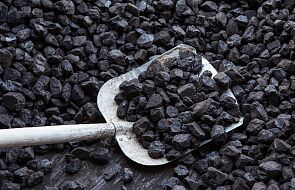 Kupiony węgiel okazał się pomalowanymi na czarno kamieniami. Rośnie liczba przestępstw "węglowych"